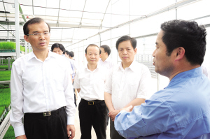 陸留生視察“三夏”工作，聽取了關(guān)于《國家現(xiàn)代農(nóng)業(yè)示范區(qū)建設(shè)規(guī)劃》的情況匯報，要求全力推進國家現(xiàn)代農(nóng)業(yè)示范區(qū)建設(shè)