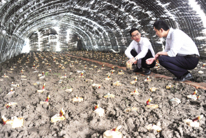 80后創(chuàng)業(yè)