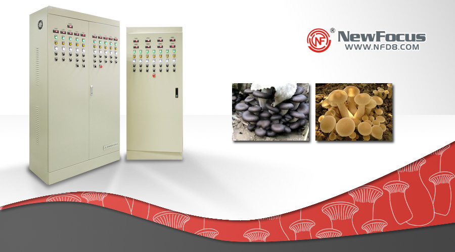 NewFocus成為食用菌工廠化培植自動(dòng)控制系統(tǒng)的首選品牌