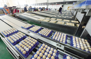 快生產(chǎn)保供應(yīng)